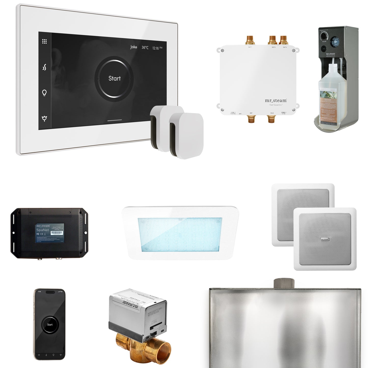 Mr. Steam BLS1-X Bliss Max Steam Shower Control Package with iSteamX Control and Steamhead