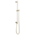 Brizo 74792 Essential Shower Linear Round Slide Bar With Hose