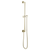 Brizo 74799 Essential Shower Linear Square Slide Bar With Hose