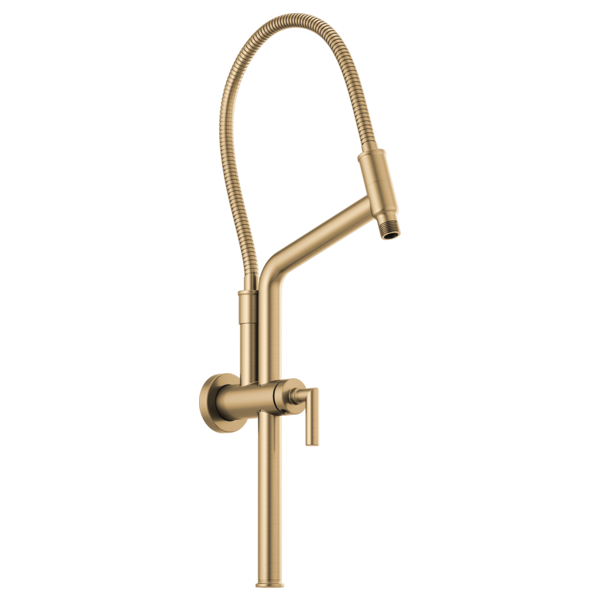 Brizo 81892 Essential Shower 10 7/16" Linear Round Slide Bar Shower Arm and Flange