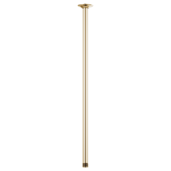 Brizo 83992-24 Essential Shower 24" Ceiling Mount Shower Arm and Round Flange