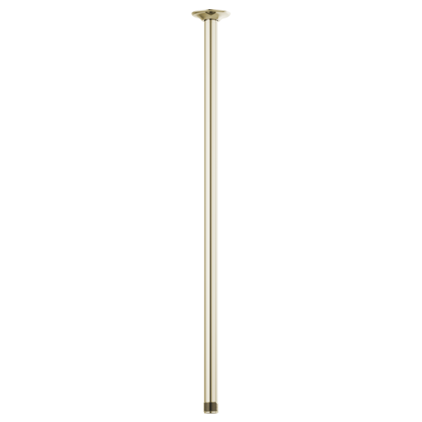 Brizo 83992-24 Essential Shower 24" Ceiling Mount Shower Arm and Round Flange