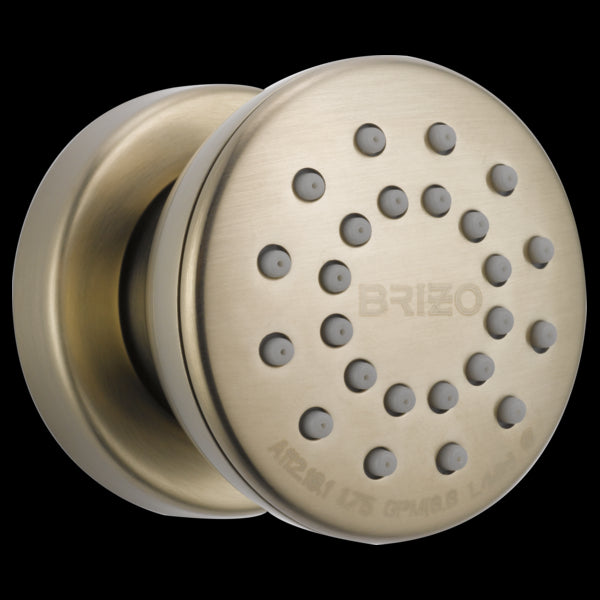 Brizo 84110 Essential Shower Touch-Clean Round Body Spray