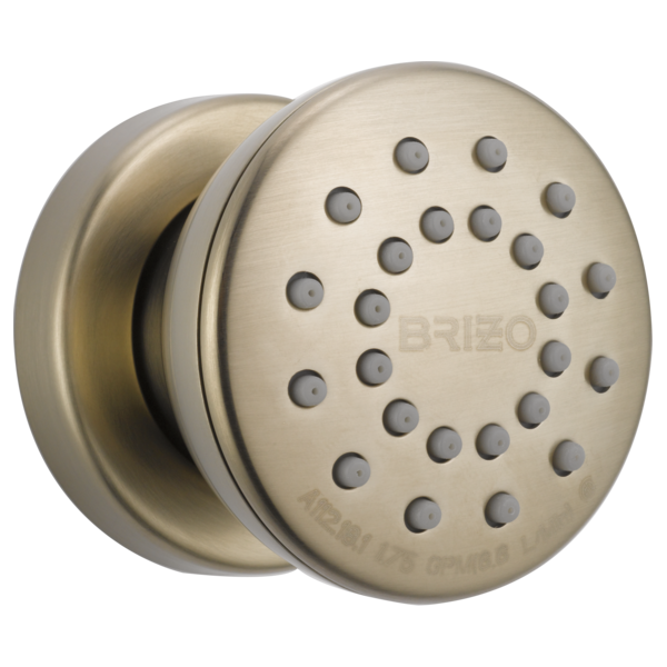 Brizo 84110 Essential Shower Touch-Clean Round Body Spray
