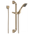 Brizo 85730 Virage Single-Function Slide Bar Hand Shower