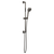 Brizo 88767 Allaria Multi-Function Slide Bar Handshower