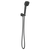 Brizo 88867 Allaria Multi-Function Wall Mount Handshower - Parent
