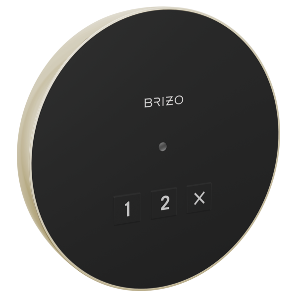 Brizo 8CN-220R Round exterior control
