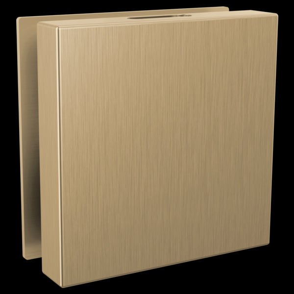 Brizo RP103312 Mystix Square Steam Head