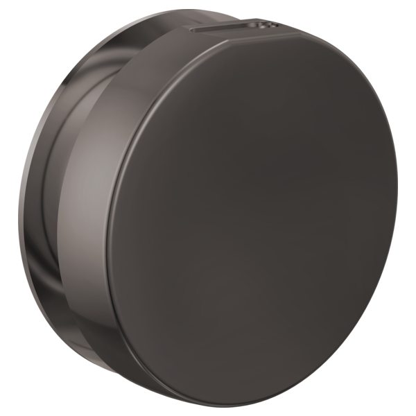 Brizo RP103313 Mystix Round Steam Head