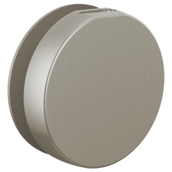 Brizo RP103313 Mystix Round Steam Head
