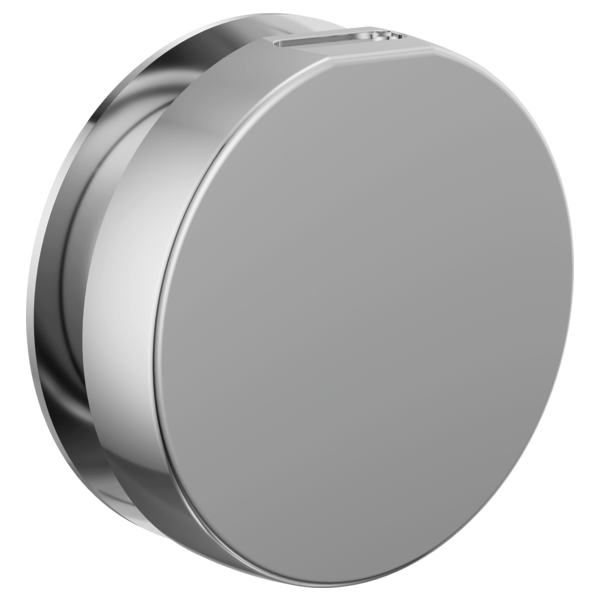 Brizo RP103313 Mystix Round Steam Head