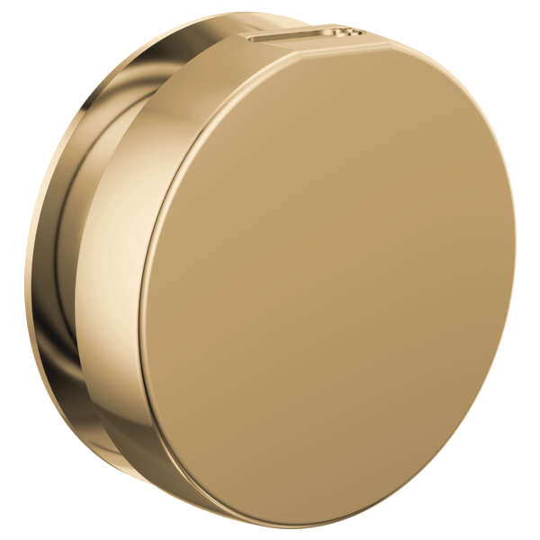 Brizo RP103313 Mystix Round Steam Head