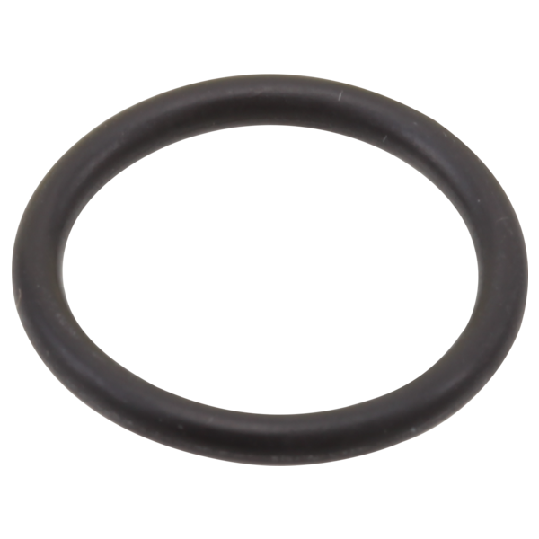 Brizo RP31689 O-rings