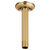 Brizo RP48985 Essential Shower 6" Ceiling Mount Shower Arm and Round Flange