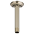 Brizo RP48985 Essential Shower 6" Ceiling Mount Shower Arm and Round Flange