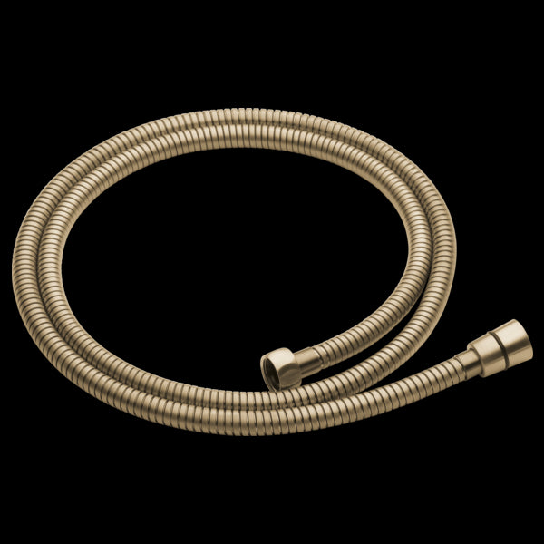 Brizo RP49645 Essential Shower Handshower Hose and Gaskets