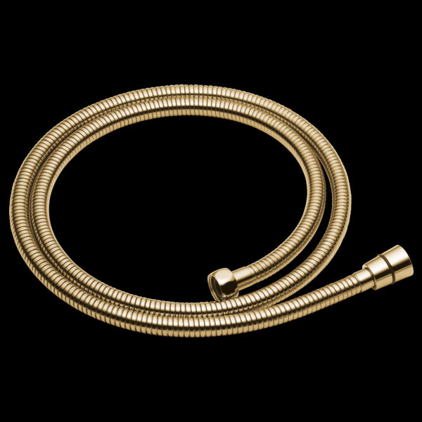 Brizo RP49645 Essential Shower Handshower Hose and Gaskets