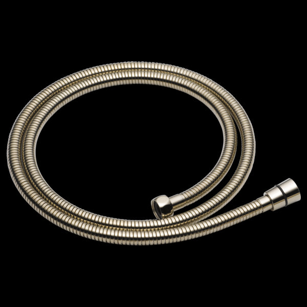 Brizo RP49645 Essential Shower Handshower Hose and Gaskets
