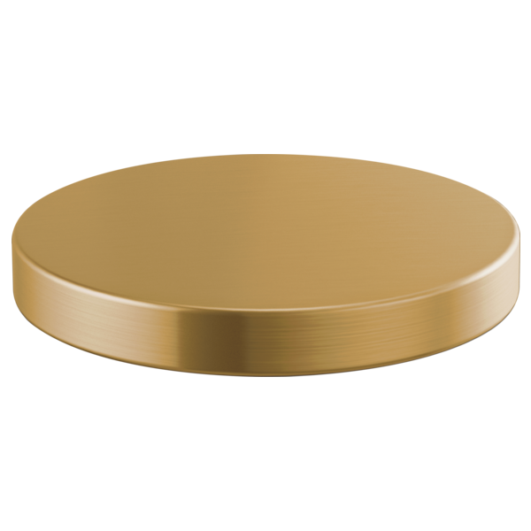 Brizo RP90934 Litze Hole Cover