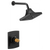 Brizo T60206-LHP Kintsu Tempassure Thermostatic Shower Only Trim - Less Handles - Parent