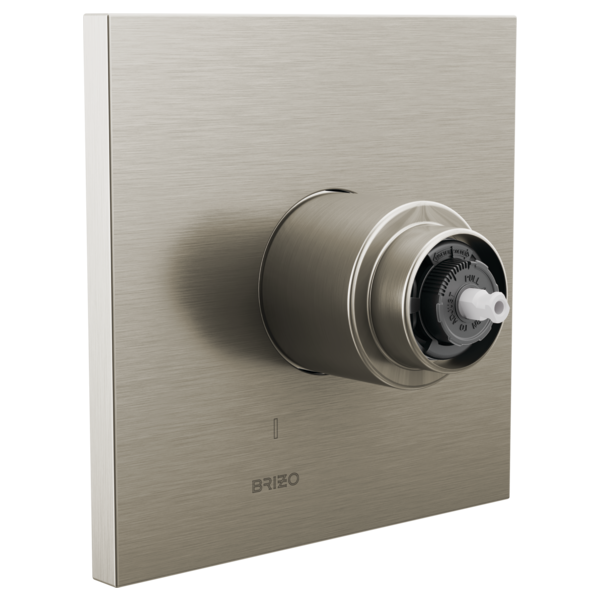 Brizo T60P022-LHP Frank Lloyd Wright Pressure Balance Valve Only Trim - Less Handle