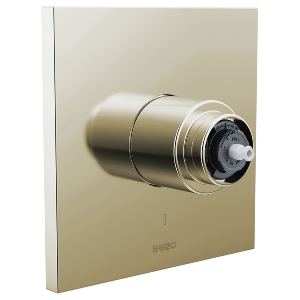 Brizo T60P022-LHP Frank Lloyd Wright Pressure Balance Valve Only Trim - Less Handle
