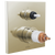 Brizo T75522-LHP Frank Lloyd Wright Tempassure Thermostatic Valve With 3-Function Integrated Diverter Trim - Less Handles