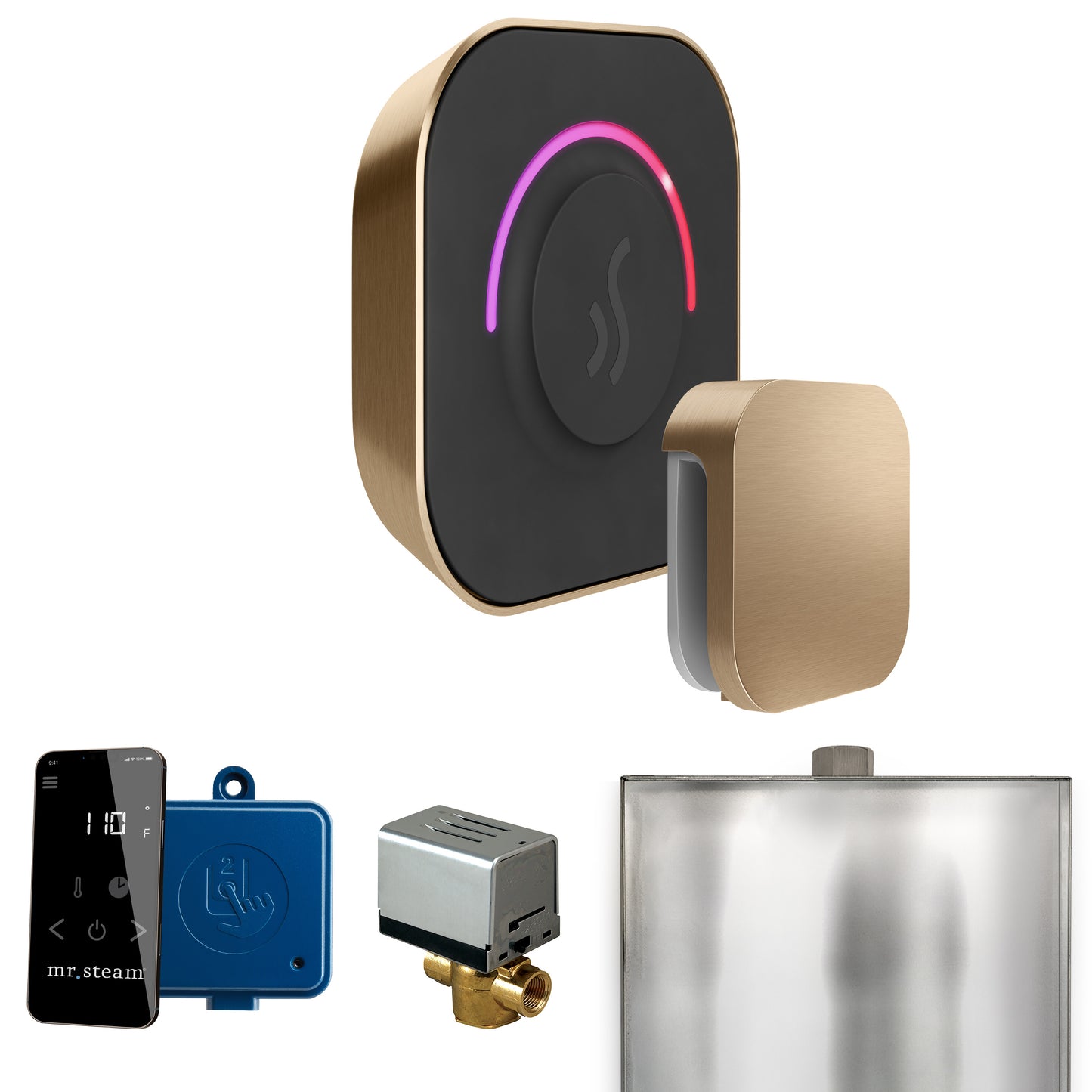 Mr. Steam BT ButlerTouch Steam Shower Control Package with TempoTouch Control and Steamhead - Parent