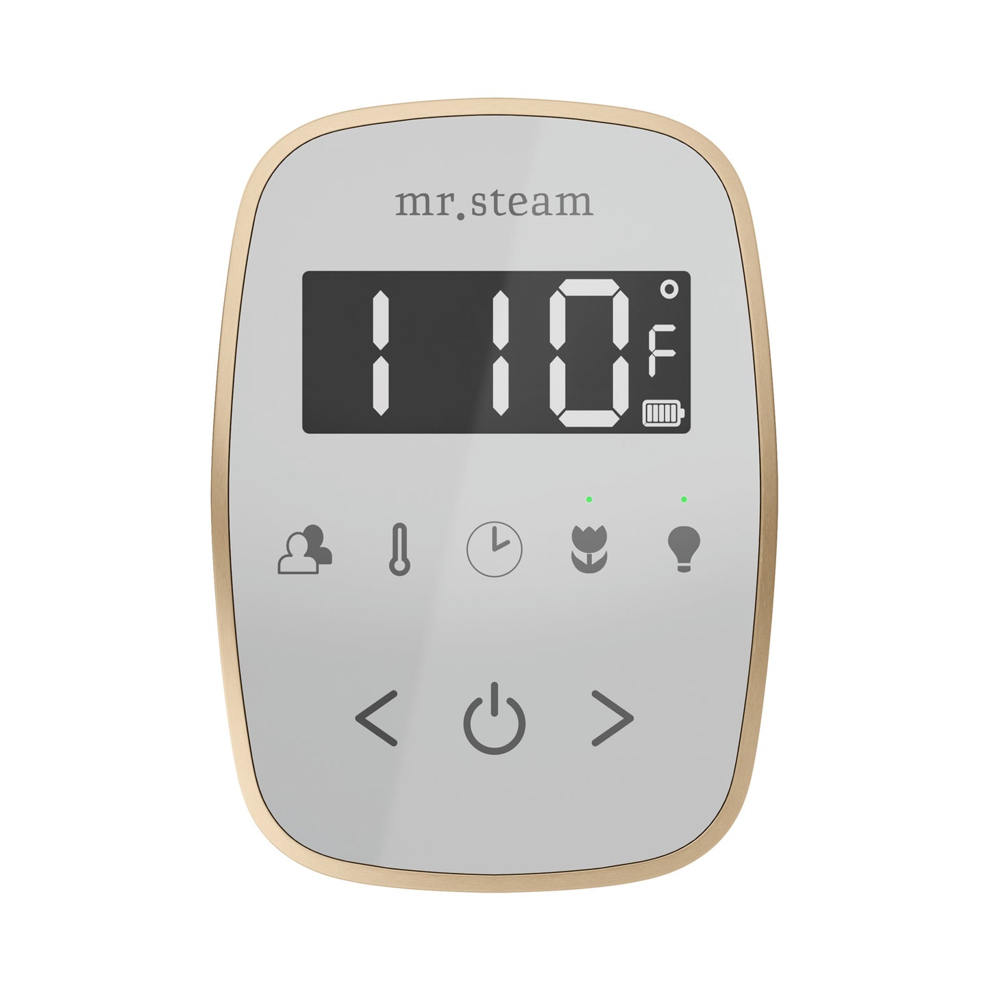 Mr. Steam BT ButlerTouch Steam Shower Control Package with TempoTouch Control and Steamhead - Parent