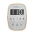 Mr. Steam BT ButlerTouch Steam Shower Control Package with TempoTouch Control and Steamhead - Parent