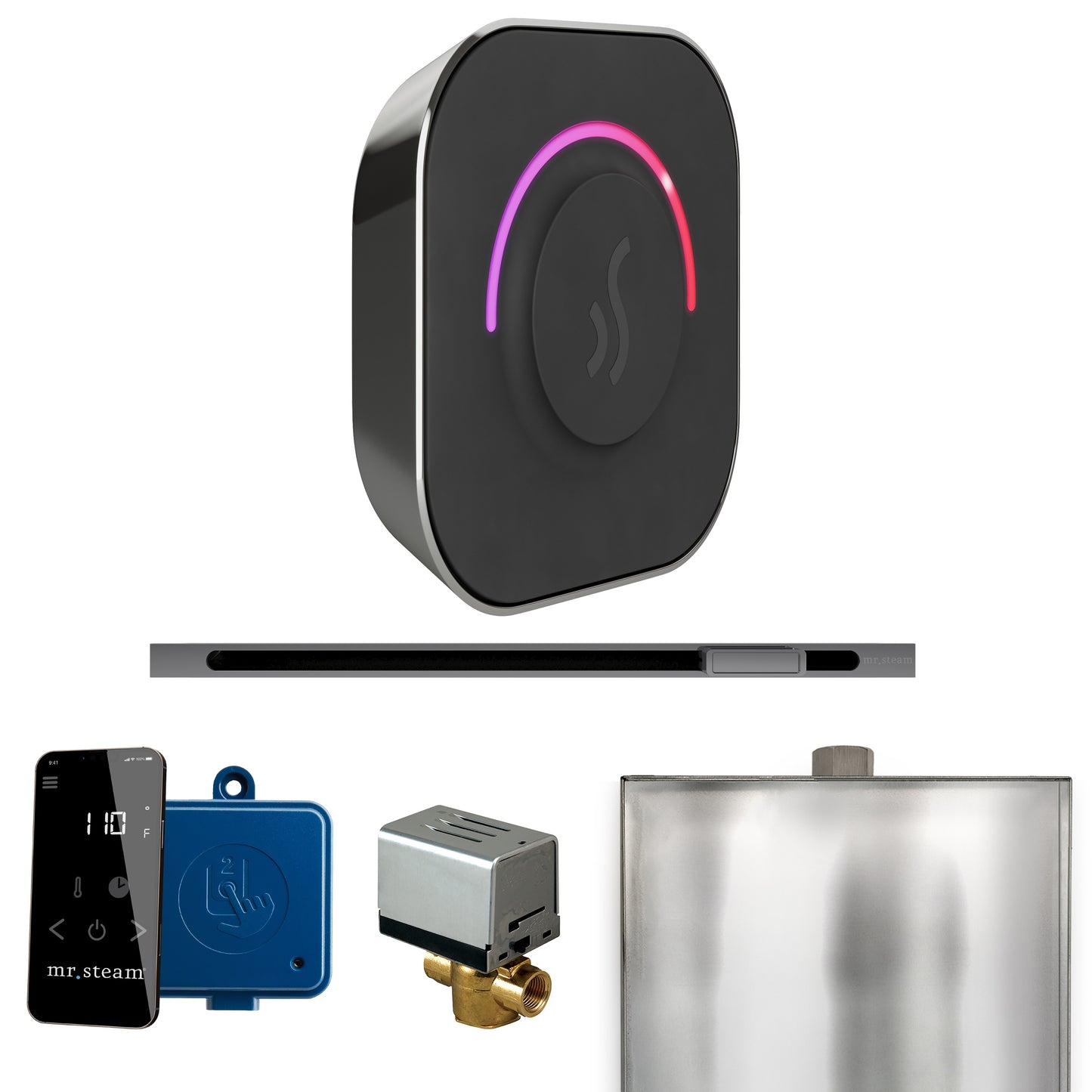 Mr. Steam BTL ButlerTouch Steam Shower Control Package with TempoTouch Control and Linear Steamhead