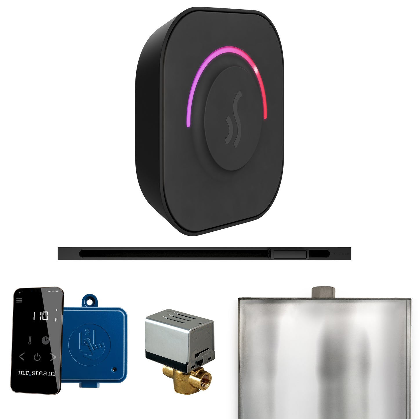 Mr. Steam BTL ButlerTouch Steam Shower Control Package with TempoTouch Control and Linear Steamhead