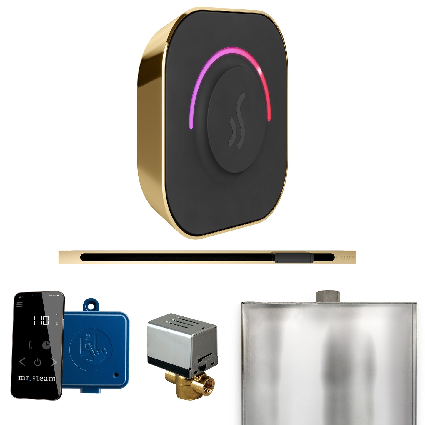 Mr. Steam BTL ButlerTouch Steam Shower Control Package with TempoTouch Control and Linear Steamhead