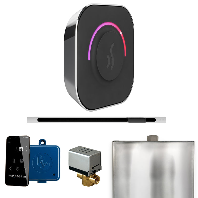 Mr. Steam BTL ButlerTouch Steam Shower Control Package with TempoTouch Control and Linear Steamhead