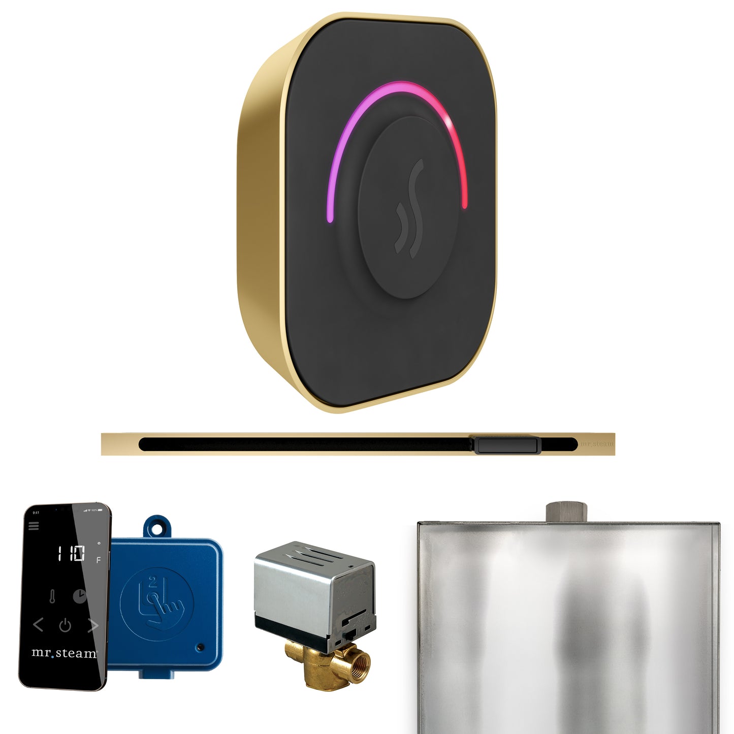 Mr. Steam BTL ButlerTouch Steam Shower Control Package with TempoTouch Control and Linear Steamhead
