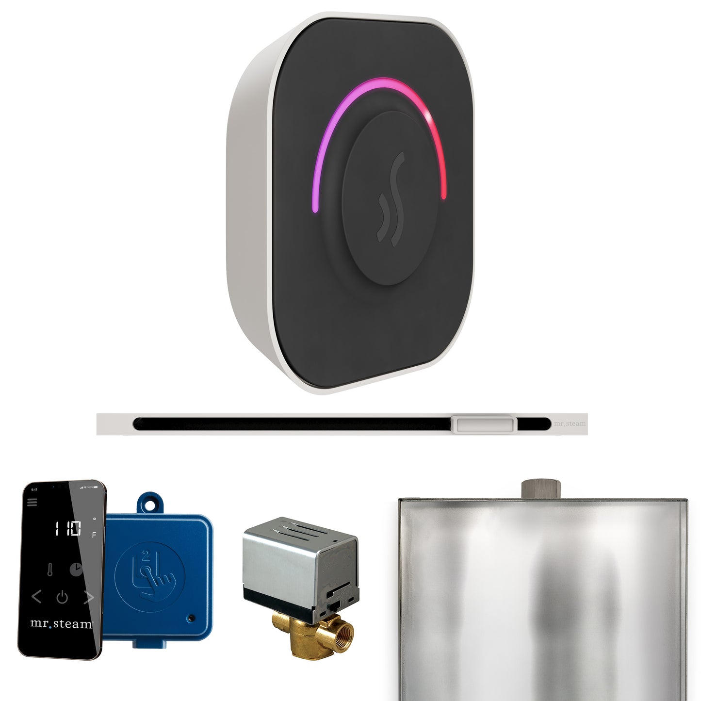 Mr. Steam BTL ButlerTouch Steam Shower Control Package with TempoTouch Control and Linear Steamhead