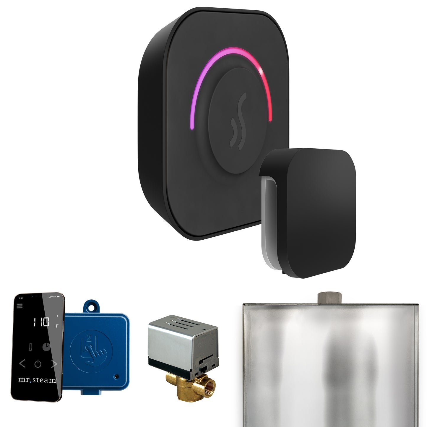 Mr. Steam BT ButlerTouch Steam Shower Control Package with TempoTouch Control and Steamhead