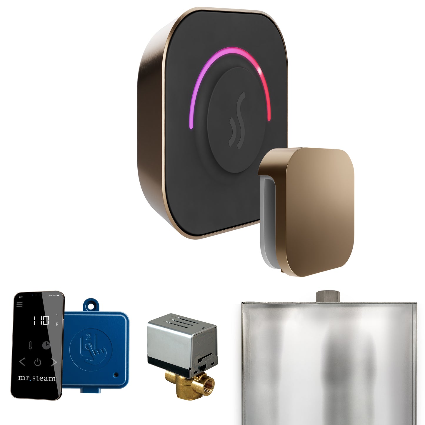 Mr. Steam BT ButlerTouch Steam Shower Control Package with TempoTouch Control and Steamhead