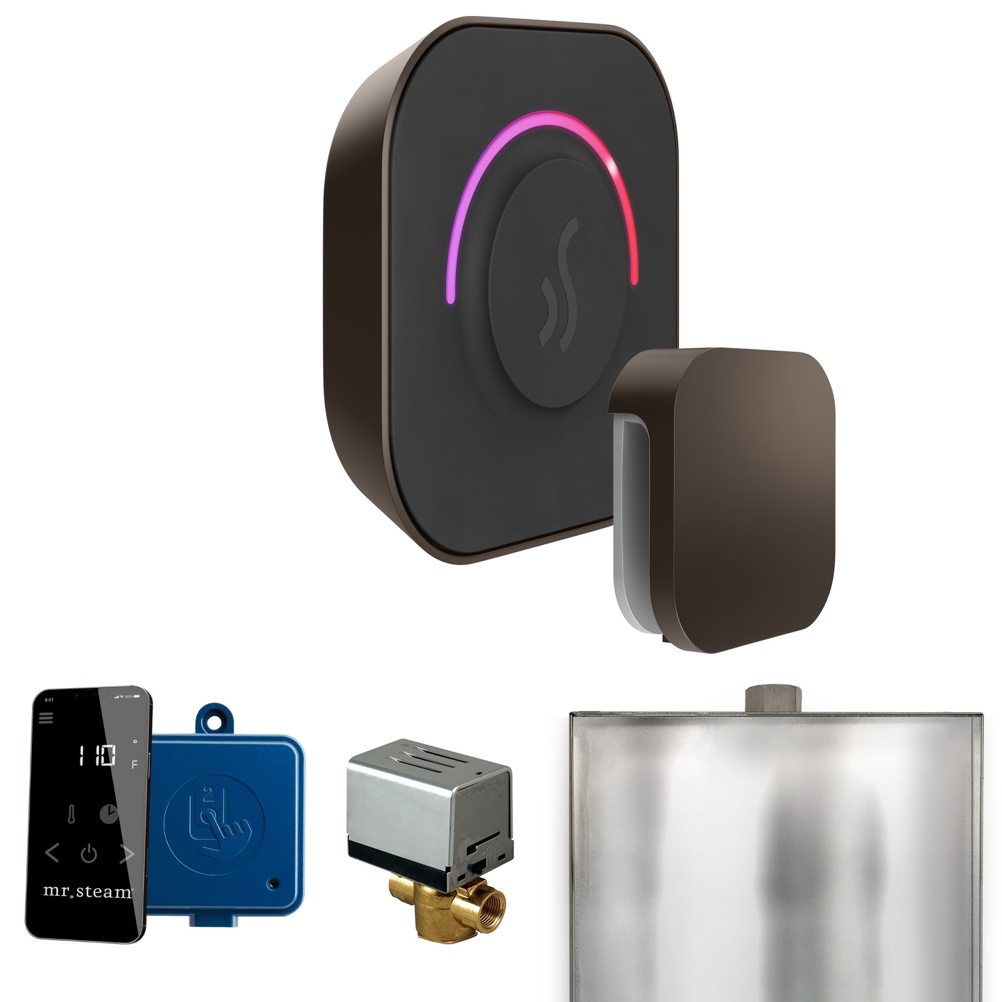 Mr. Steam BT ButlerTouch Steam Shower Control Package with TempoTouch Control and Steamhead