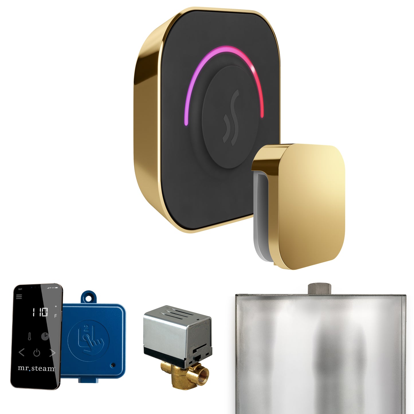 Mr. Steam BT ButlerTouch Steam Shower Control Package with TempoTouch Control and Steamhead