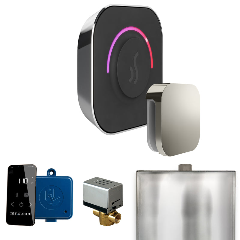 Mr. Steam BT ButlerTouch Steam Shower Control Package with TempoTouch Control and Steamhead