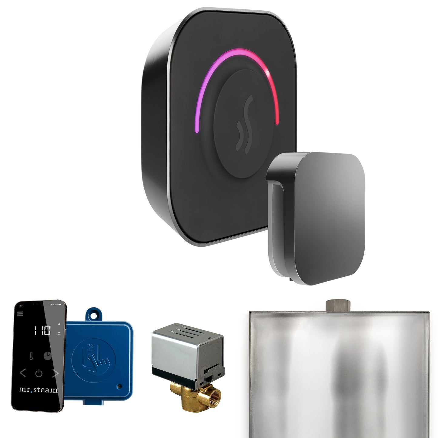 Mr. Steam BT ButlerTouch Steam Shower Control Package with TempoTouch Control and Steamhead