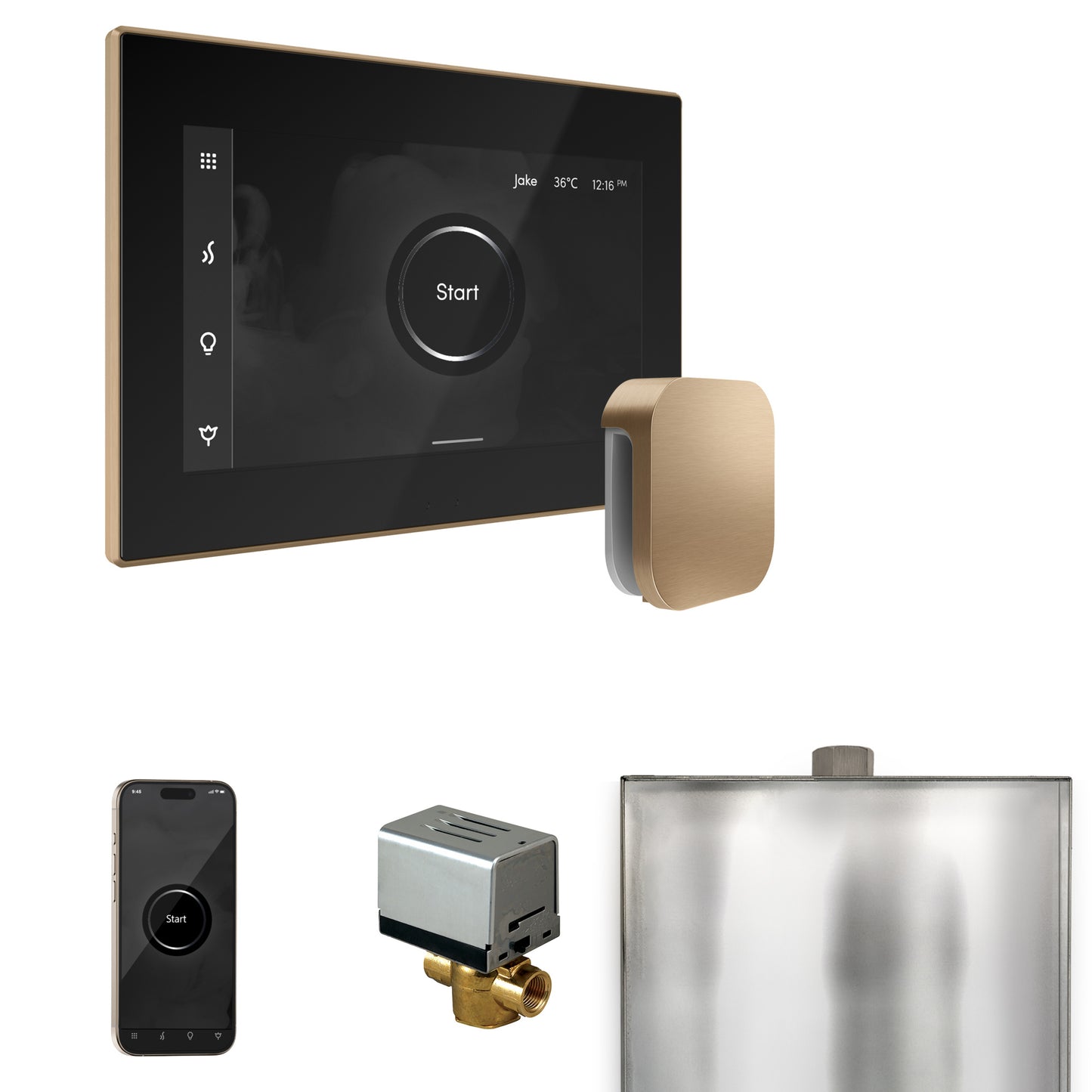 Mr. Steam BX XButler Steam Shower Control Package with iSteamX Control and Steamhead - Parent