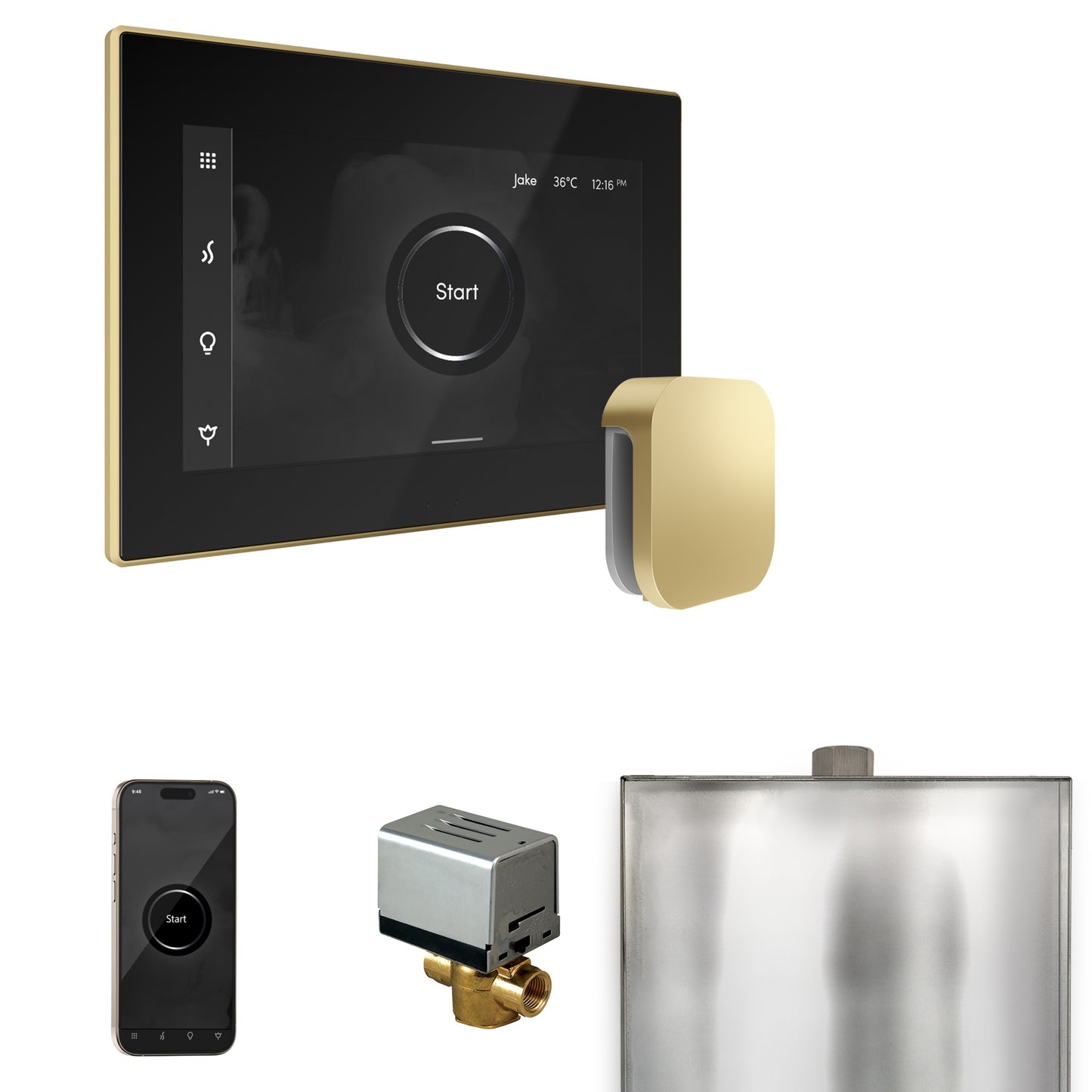 Mr. Steam BX XButler Steam Shower Control Package with iSteamX Control and Steamhead
