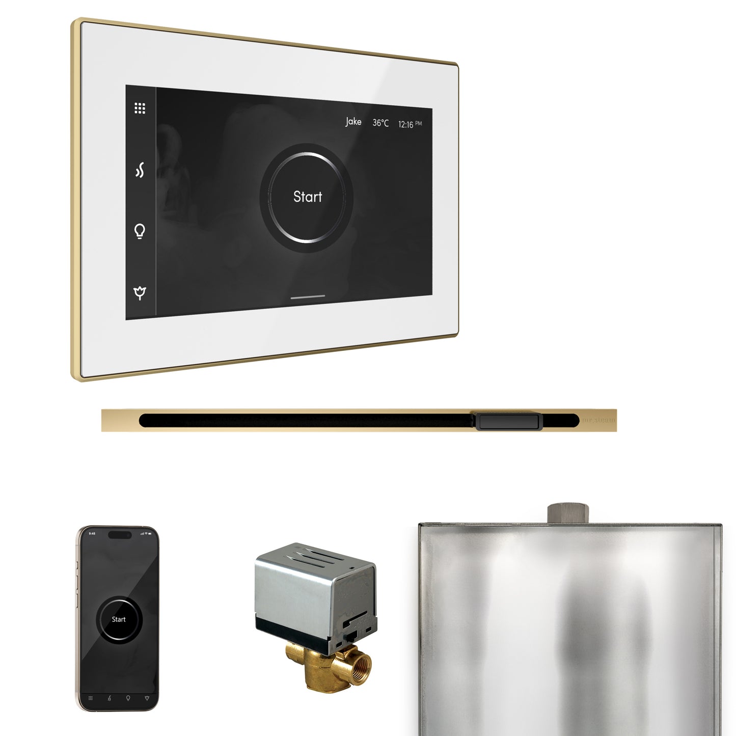 Mr. Steam BXL XButler Steam Shower Control Package with iSteamX Control and Linear Steamhead