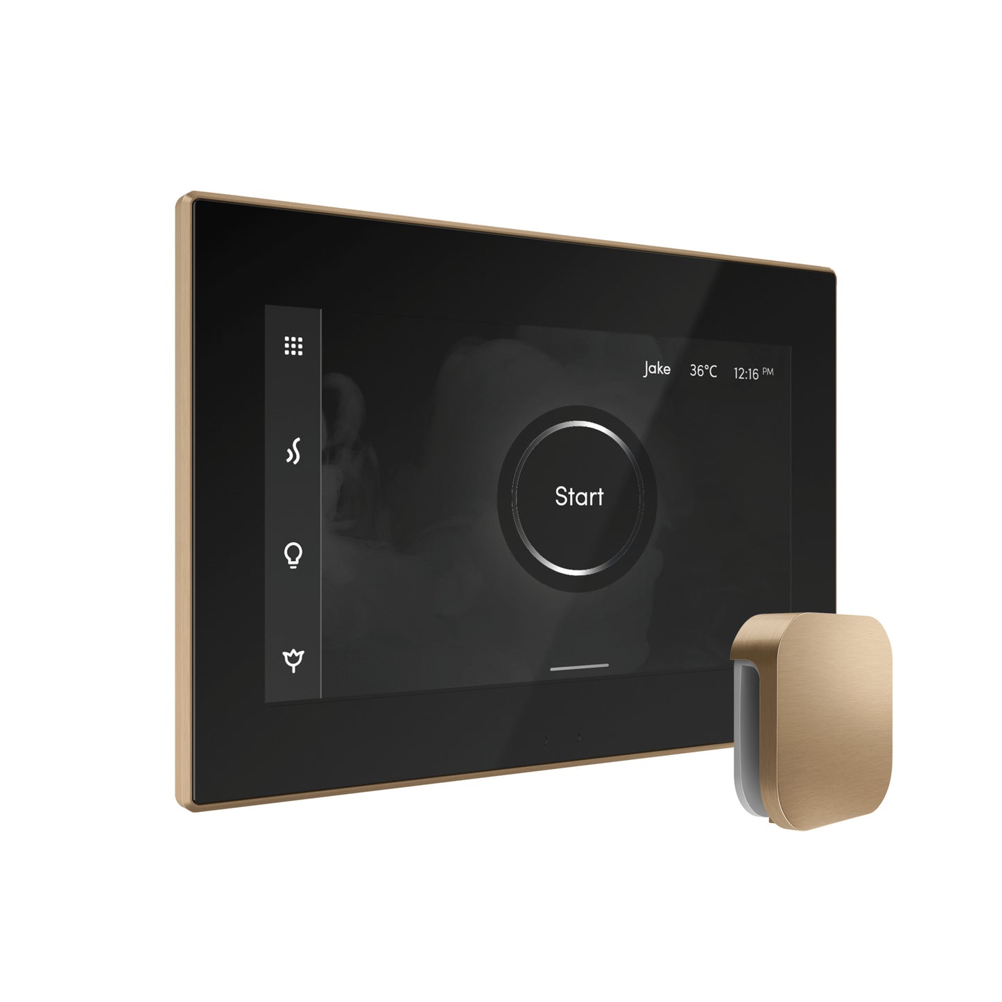 Mr. Steam BXX XButler Max Steam Shower Control Package with iSteamX Control and Steamhead - Parent