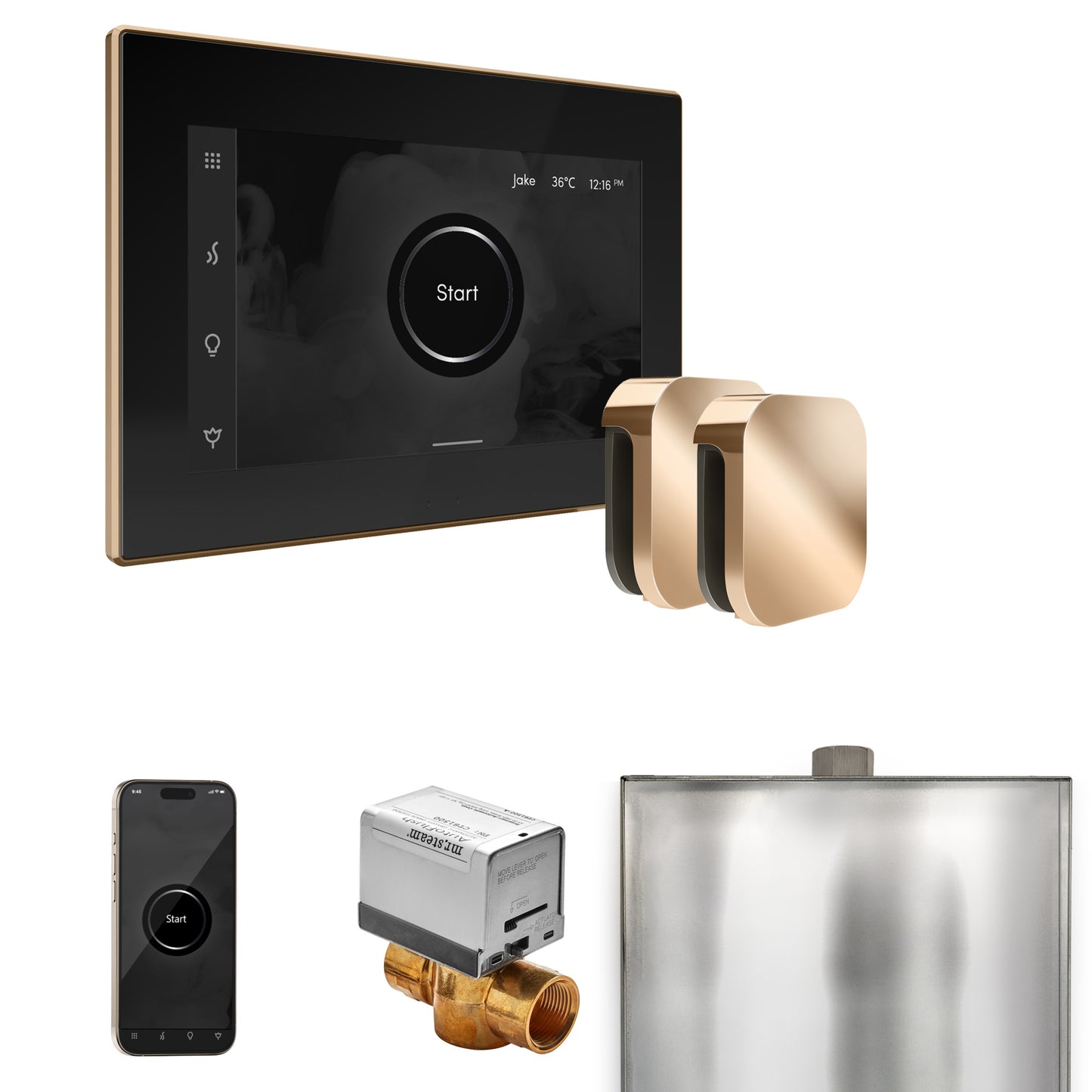 Mr. Steam BXX XButler Max Steam Shower Control Package with iSteamX Control and Steamhead