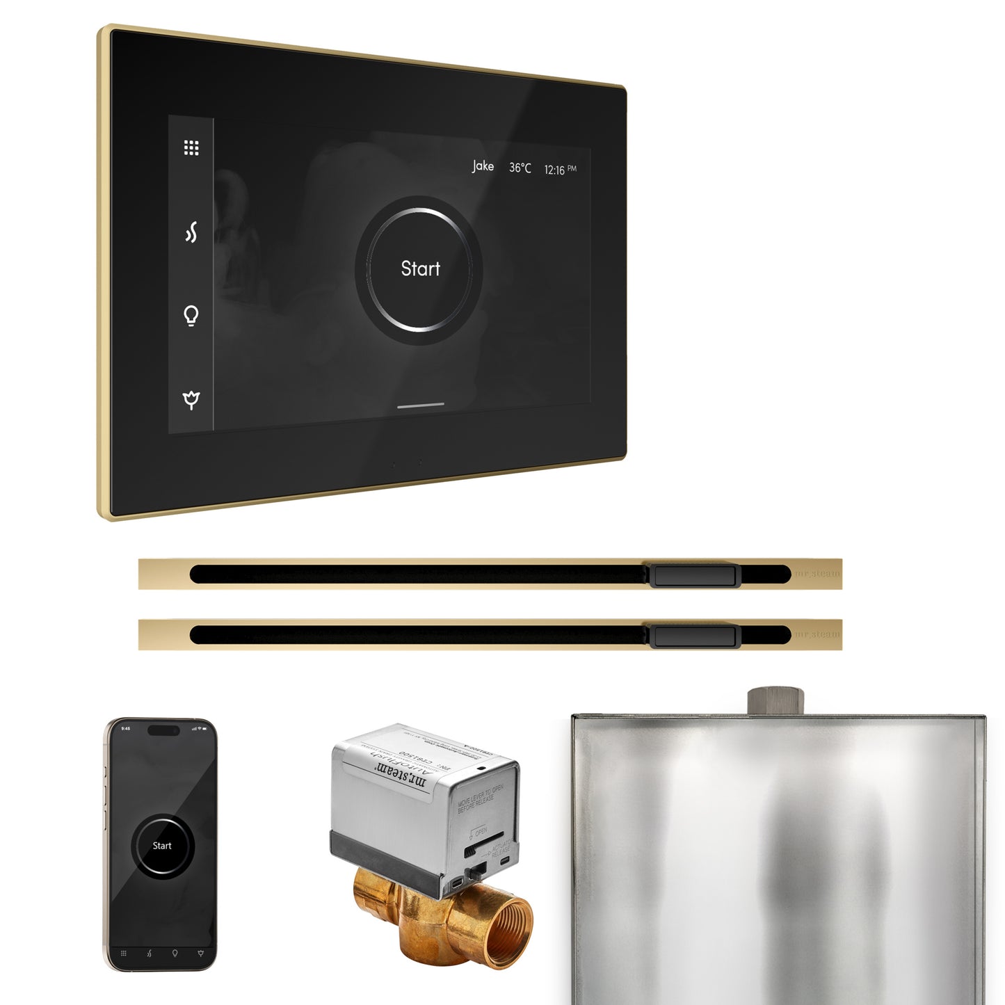 Mr. Steam BXXL XButler Max Steam Shower Control Package with iSteamX Control and Linear Steamhead