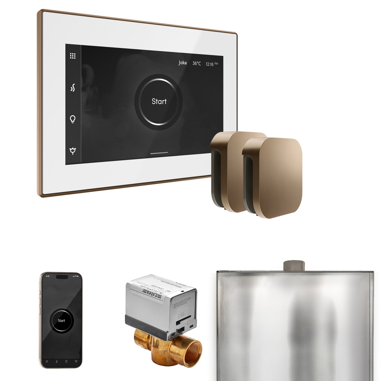 Mr. Steam BXX XButler Max Steam Shower Control Package with iSteamX Control and Steamhead